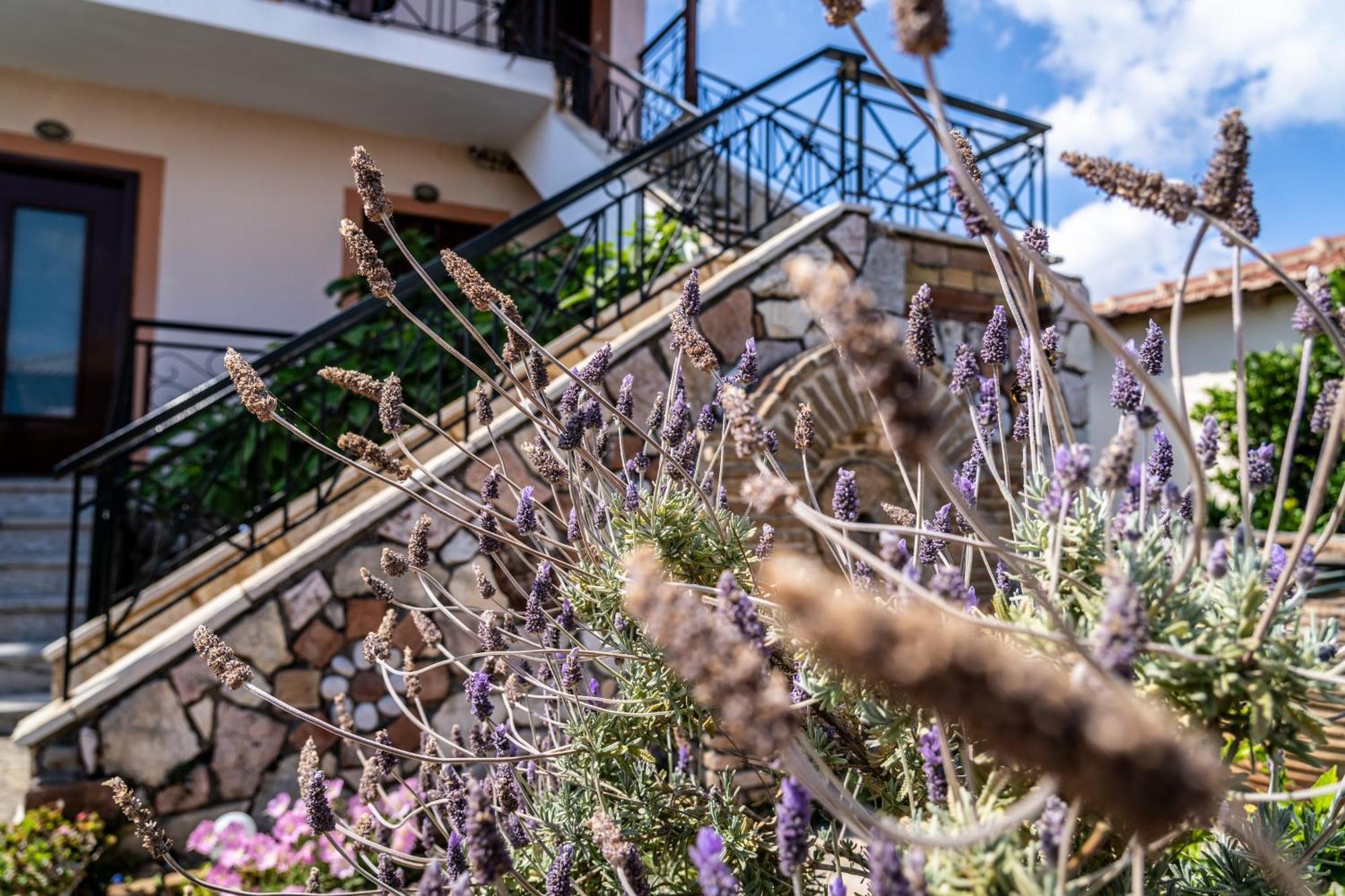 Koroni Family House With The Best View 84 Sqm Bagian luar foto